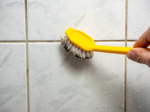 Best Office Mold Removal Services  in Cannon Af, NM
