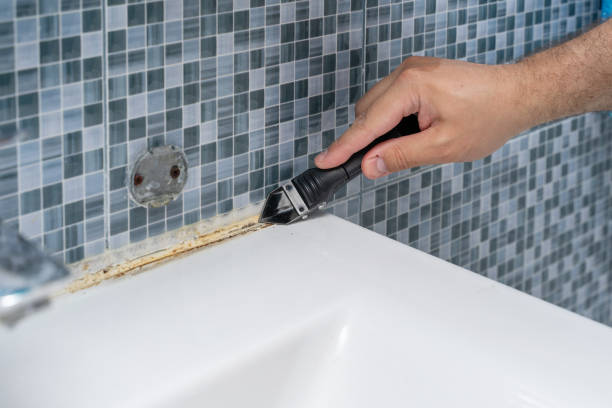 Best Toxic Mold Removal  in Cannon Af, NM